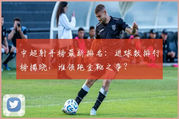中超射手榜最新排名：进球数排行榜揭晓，谁领跑金靴之争？
