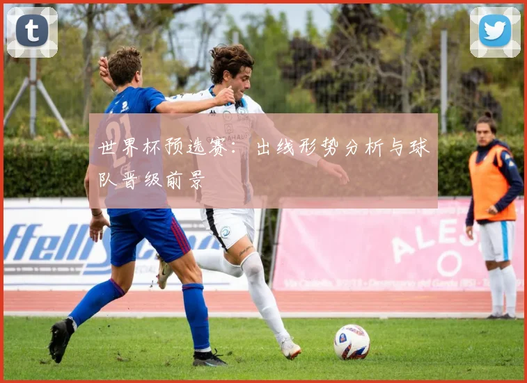 世界杯预选赛：出线形势分析与球队晋级前景
