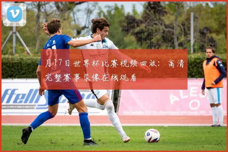 月17日世界杯比赛视频回放：高清完整赛事录像在线观看