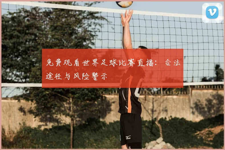 免费观看世界足球比赛直播：合法途径与风险警示