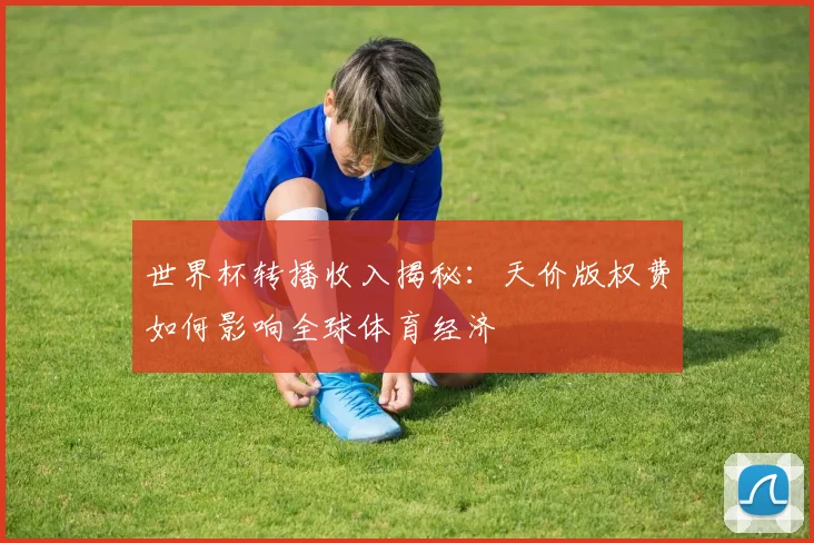 世界杯转播收入揭秘：天价版权费如何影响全球体育经济